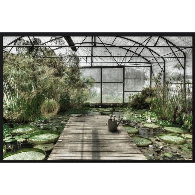 Wandkraft botanical stories 014 - Forex met lijst