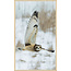 Wandkraft bright wings 007 - Forex met lijst