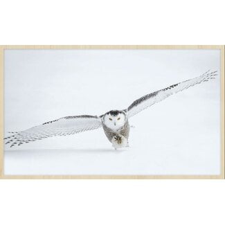 Wandkraft bright wings 008 - Forex met lijst