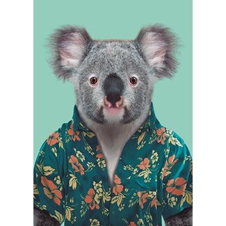 Koala