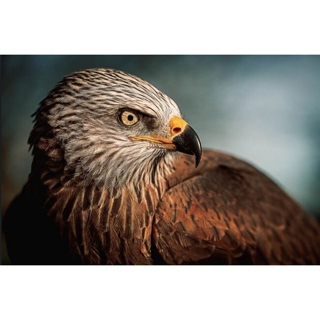 Wandkraft bright wings 017 - Glas