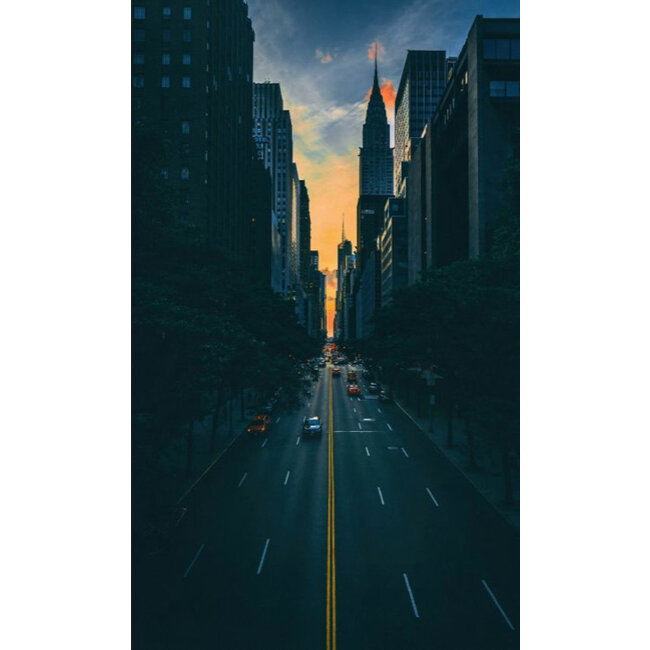 Wandkraft city life 006 - Dibond RVS