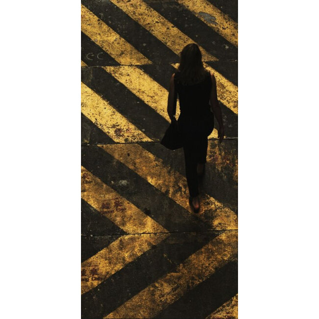 Wandkraft City life 013 - Dibond RVS