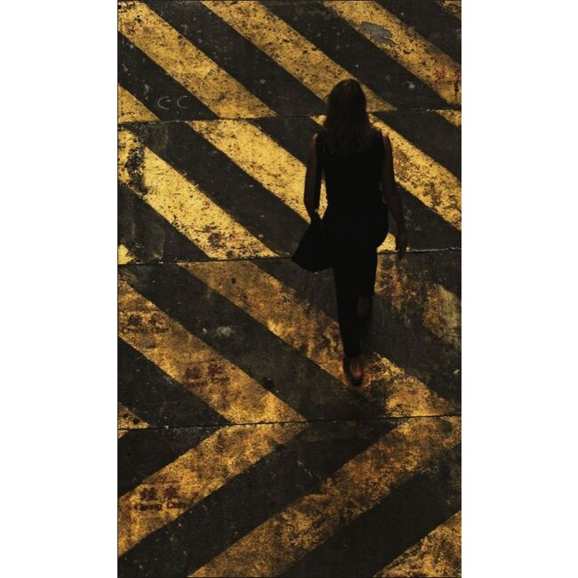 Wandkraft City life 013 - Dibond RVS