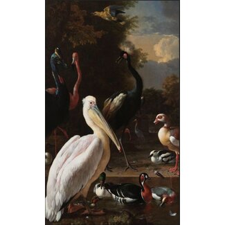 Melchior d'Hondecoeter - Het drijvend veertje | Dibond