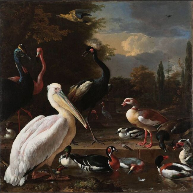 Wandkraft Melchior d'Hondecoeter - Het drijvend veertje | Dibond