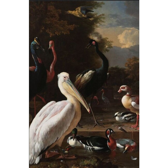 Wandkraft Melchior d'Hondecoeter - Het drijvend veertje | Dibond