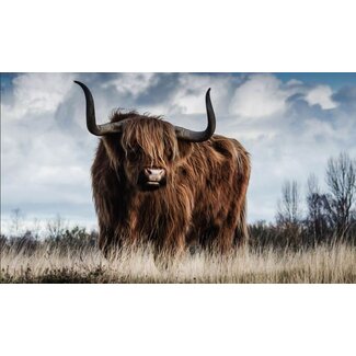 European Wildlife 000 - Dibond