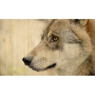European wildlife 002 - Hout
