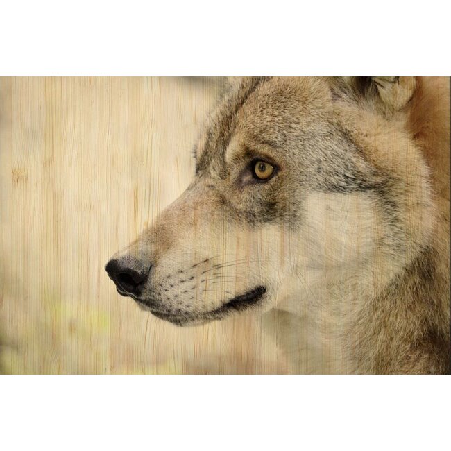 Wandkraft European wildlife 002 - Hout