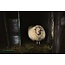 Wandkraft European wildlife 004 - Hout