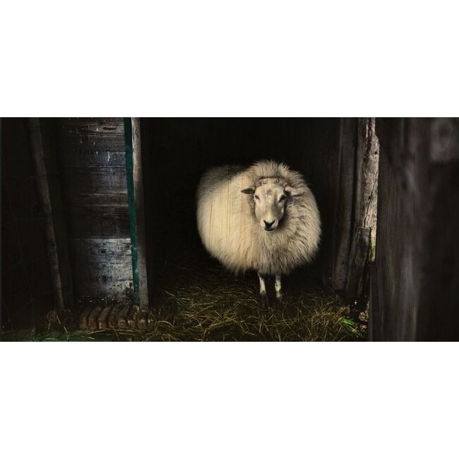 Wandkraft European wildlife 004 - Hout