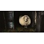 Wandkraft European wildlife 004 - Hout