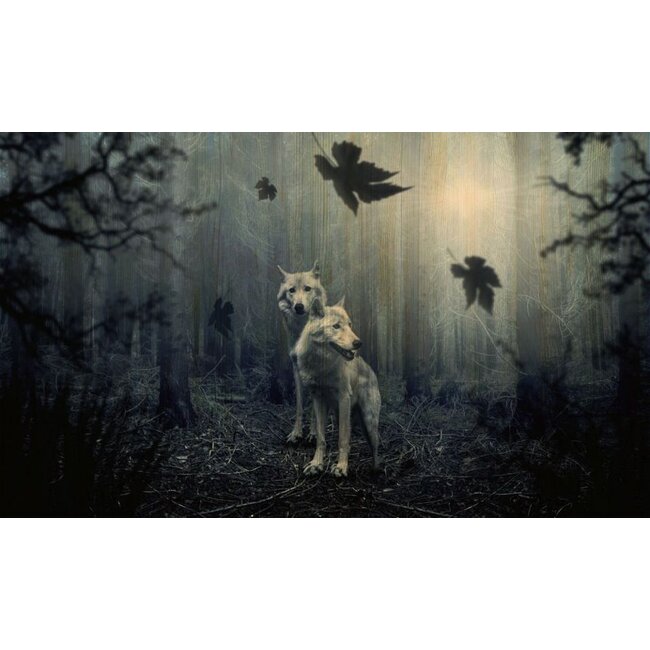 Wandkraft European wildlife 005 - Hout