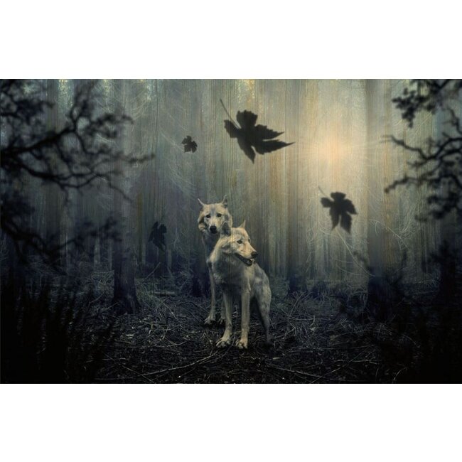 Wandkraft European wildlife 005 - Hout