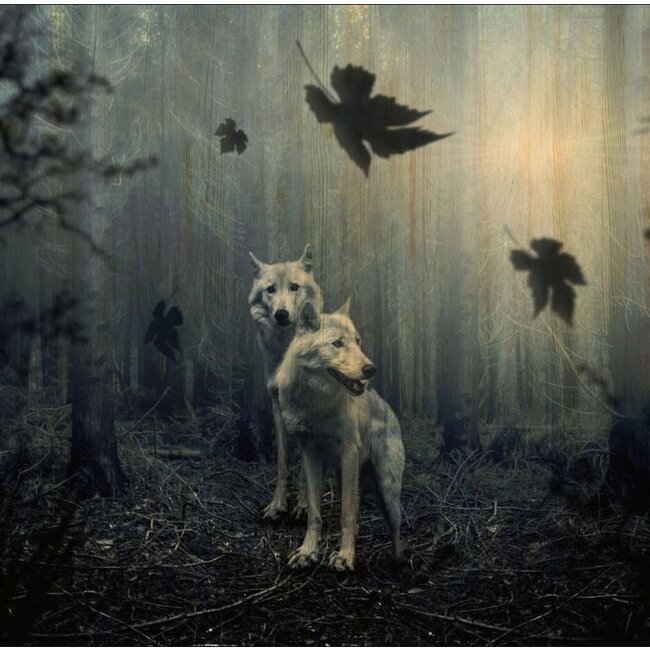 Wandkraft European wildlife 005 - Hout
