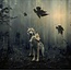 Wandkraft European wildlife 005 - Hout