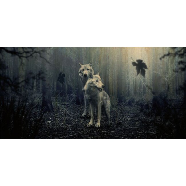 Wandkraft European wildlife 005 - Hout