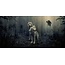Wandkraft European wildlife 005 - Hout