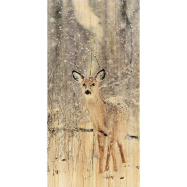 Wandkraft European wildlife 007 - Hout