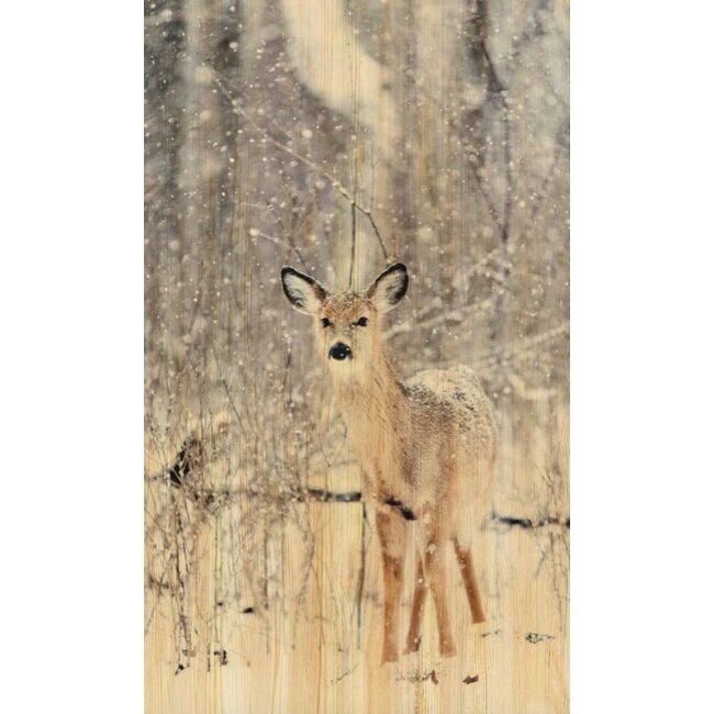 Wandkraft European wildlife 007 - Hout