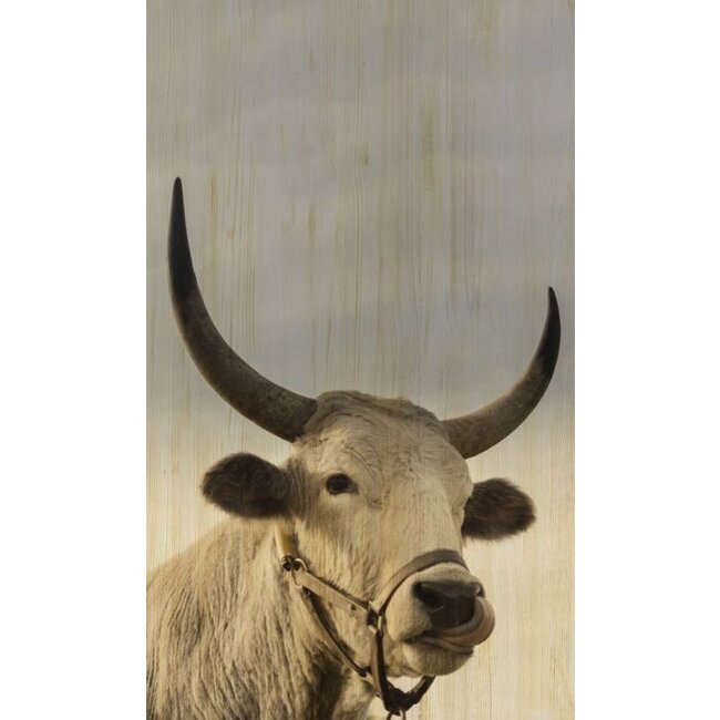 Wandkraft European wildlife 011 - Hout