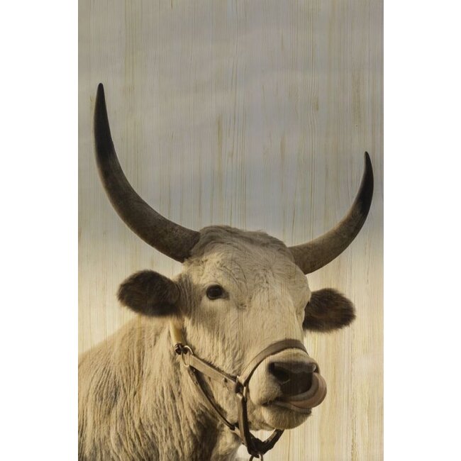 Wandkraft European wildlife 011 - Hout