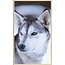 Wandkraft European wildlife 012 - Forex met lijst