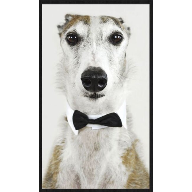 Wandkraft Faces 001 - Forex met lijst