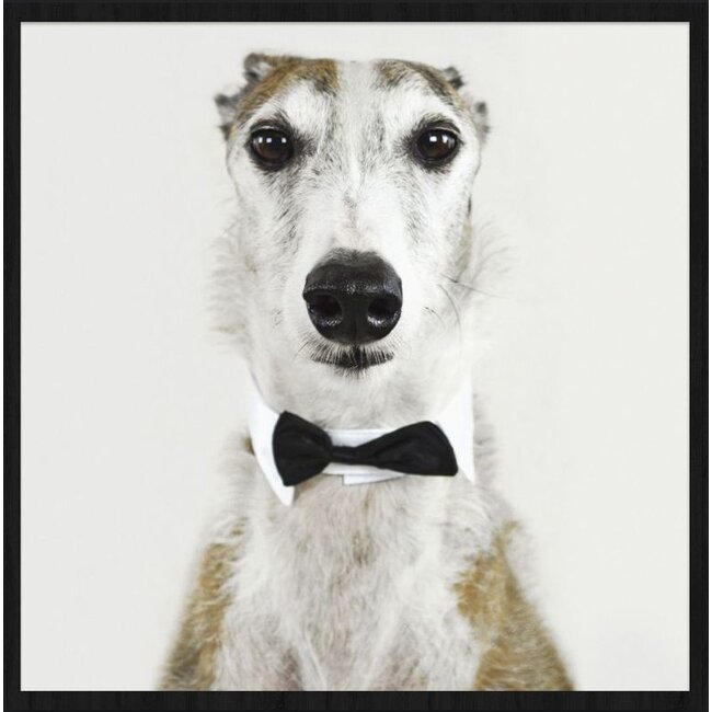 Wandkraft Faces 001 - Forex met lijst