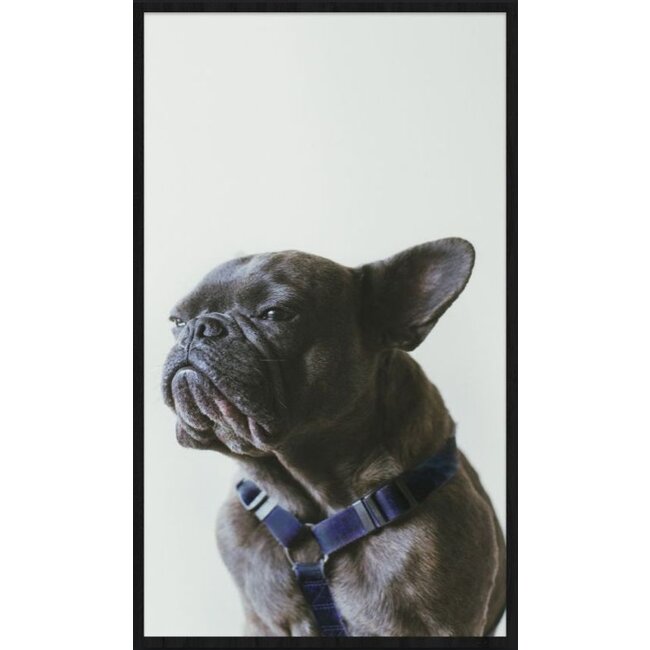 Wandkraft Faces 003 - Forex met lijst