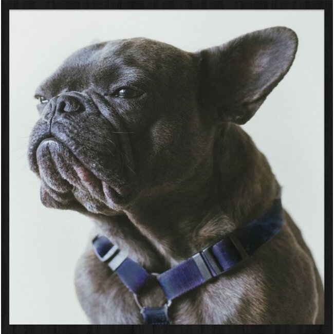 Wandkraft Faces 003 - Forex met lijst