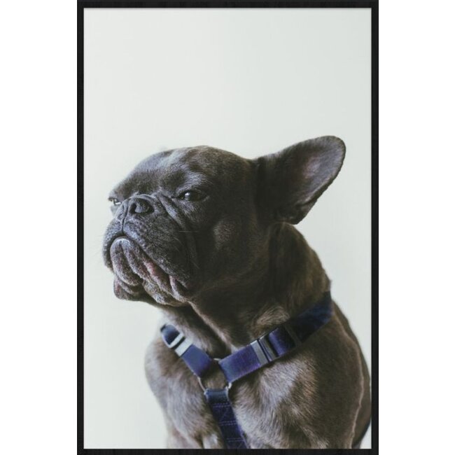 Wandkraft Faces 003 - Forex met lijst