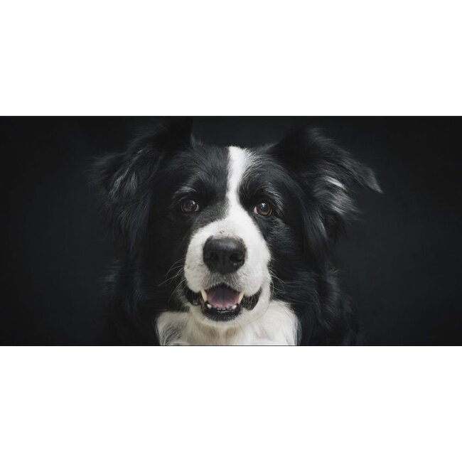 Wandkraft Faces 004 - Dibond