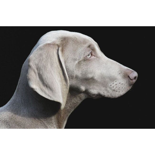 Wandkraft Faces 011 - Glas