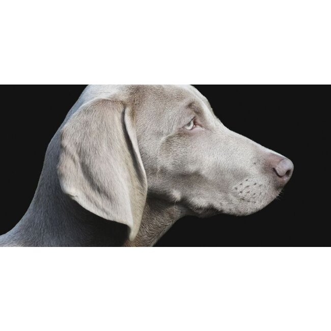 Wandkraft Faces 011 - Glas