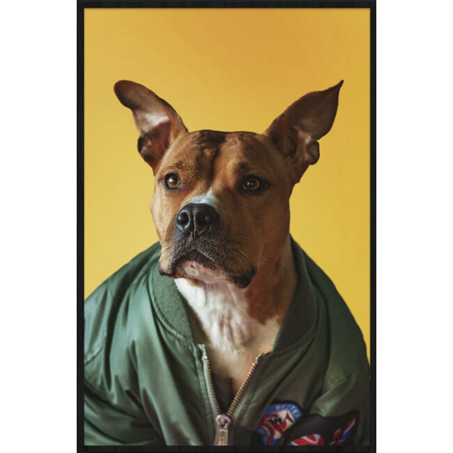 Wandkraft Faces 013 - Forex met lijst