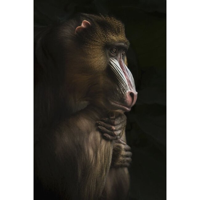 Wandkraft Faces 014 - Glas