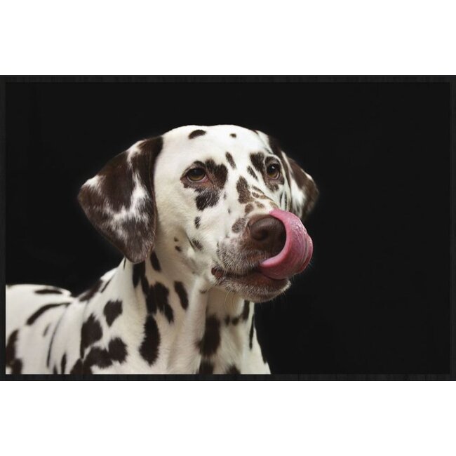 Wandkraft Faces 016 - Forex met lijst