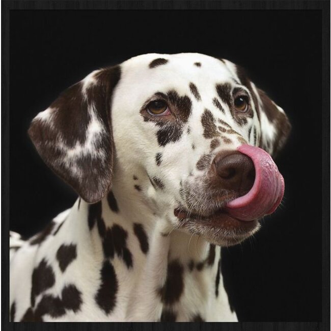 Wandkraft Faces 016 - Forex met lijst