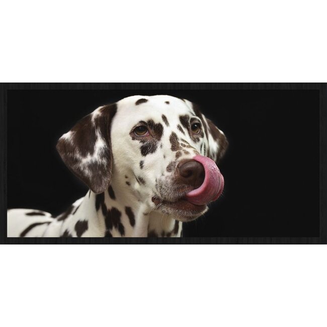 Wandkraft Faces 016 - Forex met lijst