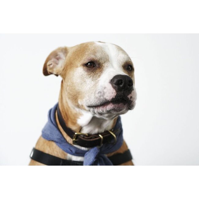 Wandkraft Faces 018 - Dibond