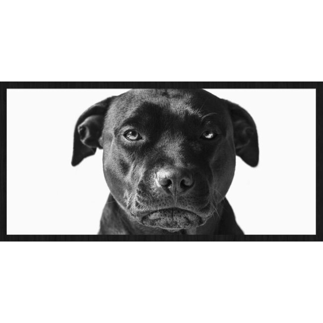 Wandkraft Faces 019 - Forex met lijst