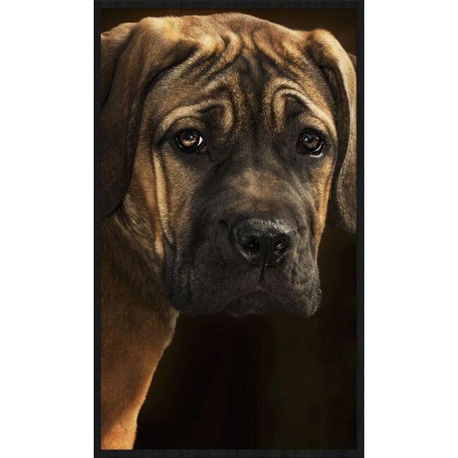 Wandkraft Faces 020 - Forex met lijst