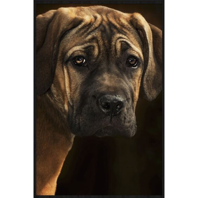 Wandkraft Faces 020 - Forex met lijst