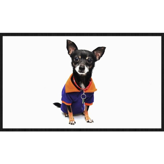 Wandkraft Faces 021 - Forex met lijst