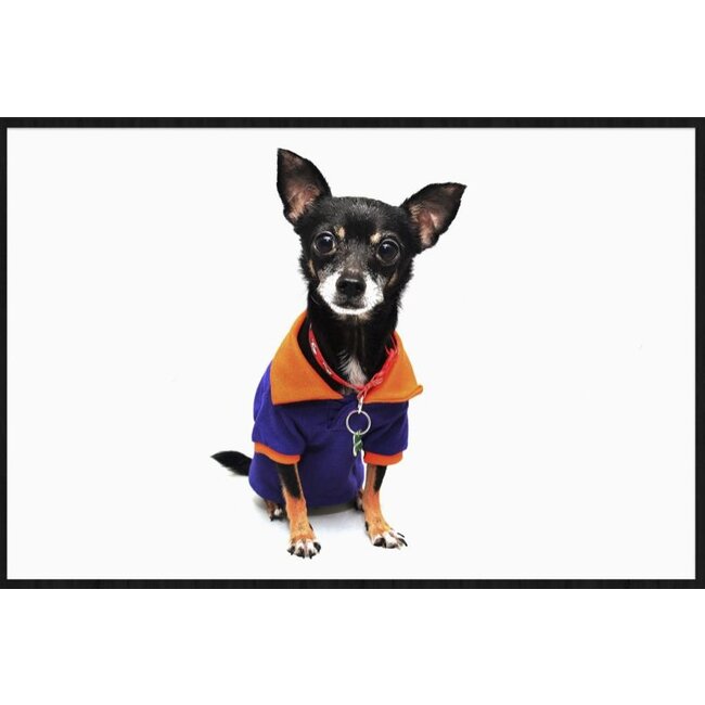 Wandkraft Faces 021 - Forex met lijst