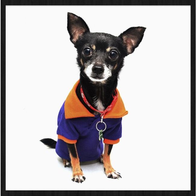 Wandkraft Faces 021 - Forex met lijst