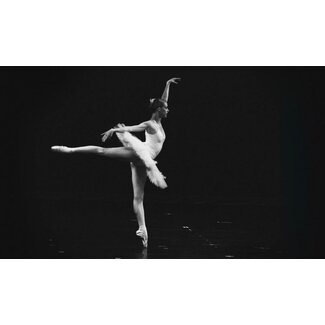 Moves 006 - Dibond
