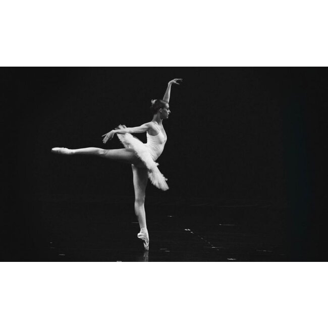 Wandkraft Moves 006 - Dibond